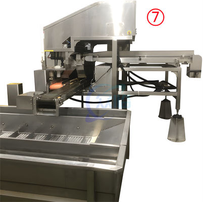 Industrial Shrimp Deheading Machine SUS316 Durable For Head Cutting