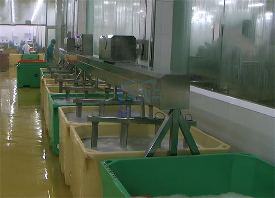 Automatic Food Blender Soaking Machine Multipurpose Anti Corrosion