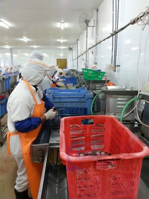 40-60pcs/Min Shrimp Cutting Machine Practical For Back Opening