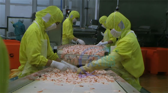 Practical Shrimp Cooking Machine Anti Erosion 380V 3P 50Hz 3.7KW