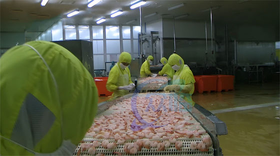 Practical Shrimp Cooking Machine Anti Erosion 380V 3P 50Hz 3.7KW