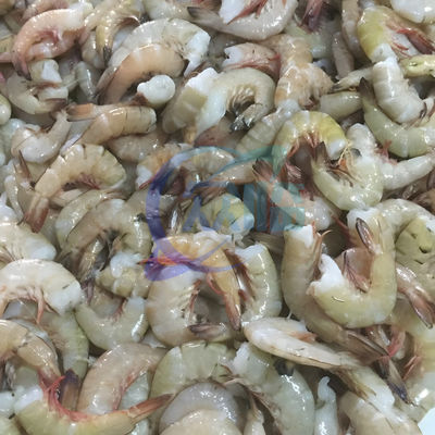 50Hz Stable Shrimp Screening Machine , Stainless Steel Shrimp Cutting Machine