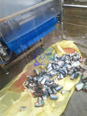 Stainless Steel Fish Cutting Machine 1.5KW 380V Anti Corrosion