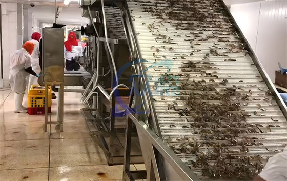 Seafood and shrimp processing equipment 304 stainless steel fish and shrimp specification selection machine