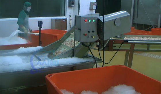Seafood processing plant frozen fish and shrimp washing water cycle thawing machine Shrimp Processing Washing Machine