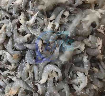 Shrimp deheading automatic assembly line Shrimp head removal machine for seafood processing factory