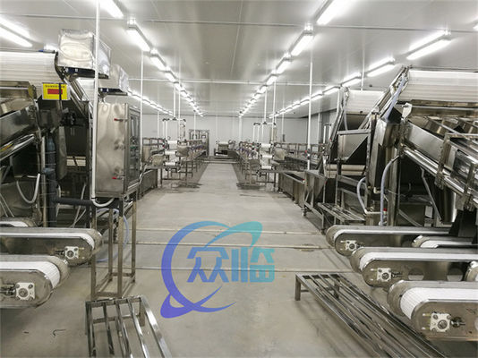 Seafood Processing Equipment Shrimp Sorting Machine Shrimp Size Automatic Grading Machine
