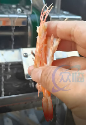 Sushi cooked shrimp belly opener seafood processing fish and shrimp stainless steel processing machinery and equipment