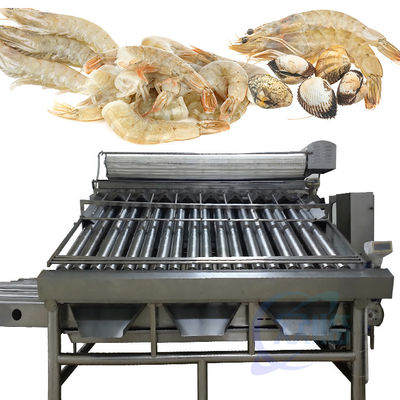 Shrimp grading machine, shrimp cleaning and sorting machine, shrimp screening machine after shelling