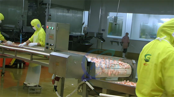 Shrimp processing production line, cooked shrimp cooking machine, sushi shrimp steam blanching machine