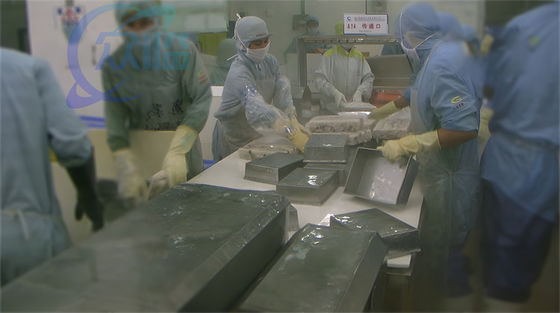 Separate tray machine Fish and shrimp frozen tray isolated in seafood processing factory