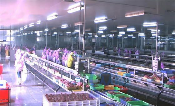 3.03KW Fish Processing Production Line Assembly Platform Fish Deheading Production Line Table