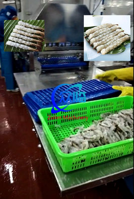 Goede prijs Automatische Tempura garnalen rekmachine, NOBASHI machine, garnalen rekmachine online