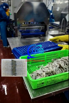 Goede prijs 100 stuks Tray Automatic NOBASHI Machine en Tempura garnalen rekmachine online