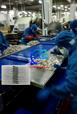 High Quality And Cheap Automatic Tempura Machine With Shrimp Stretching Machine