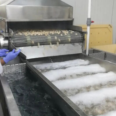Goede prijs Duurzame 380V zeevoedsel koelmachine garnalen verwerkingsmachine vis verwerkingsmachine garnalen koelmachine online