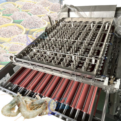 Goede prijs 50Hz 3P garnalen automatische schietmachine Stabiel roestvrij staal online