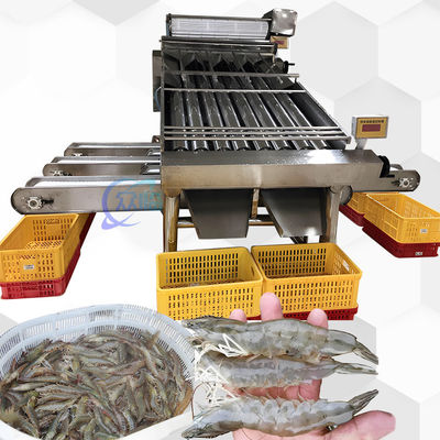 Goede prijs 3P Multiscene garnalen classificatie machine Automatische multi functie online