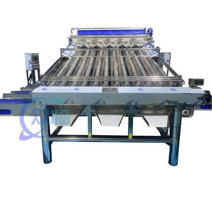 4900W SUS304 garnalen sorteermachine, Duurzame garnalen wasmachine