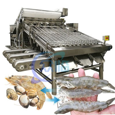Goede prijs Roestvrij staal garnalen rangschikkingsmachine Praktisch 6000x4000x2200mm online