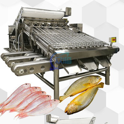 Goede prijs Automatische viscategoriseringsmachine 4900W Multifunctionele anti-erode online