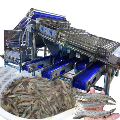 Industriële garnalen sorteermachine Multiscene Waterdicht Automatisch