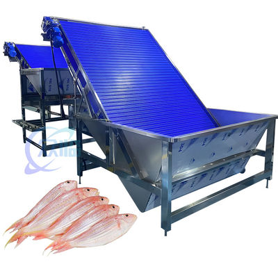 Goede prijs Anti-corrosie garnalen sorteermachine Multiscene Praktisch 4,9 kW online
