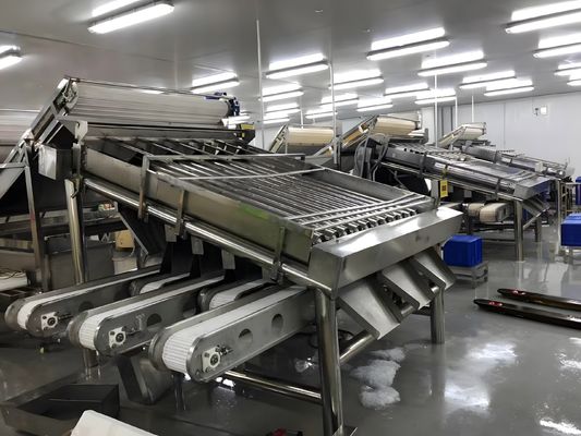 3P Duurzame garnalen sorteermachine, anti-erosie garnalen sorteermachine