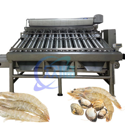 Goede prijs 380V 50Hz garnalen rangschikkingsmachine multifunctioneel voor garnalen grootte online