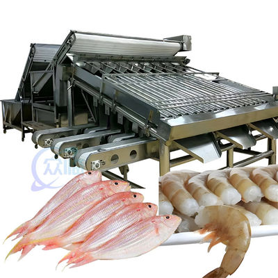 Goede prijs ISO 1500KG Zeevruchten Sorteermachine, Multifunctionele visgrootte Sorter online