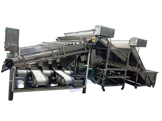 Goede prijs 4900W garnalen rangschikkingsmachine Roller Control Anti Erosion Automatic online
