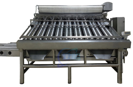 Goede prijs Praktische Roller Fish Grader Machine, Multi Function Shrimp Sorter online