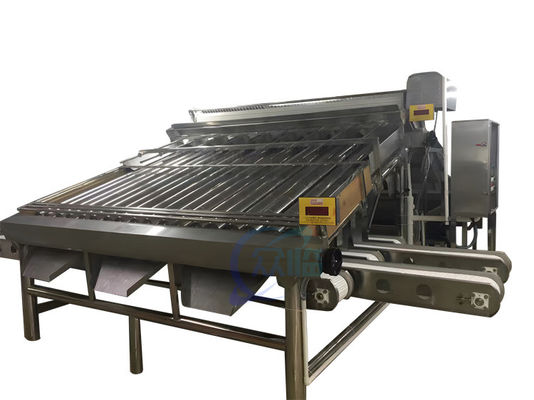 Goede prijs Duurzame 4,9 kW garnalen rangschikkingsmachine automatisch voor garnalen grootte online