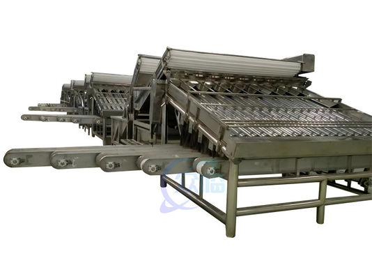 Goede prijs 380V 50Hz zeevruchten sorteermachine, Multiscene garnalen maatmachine online