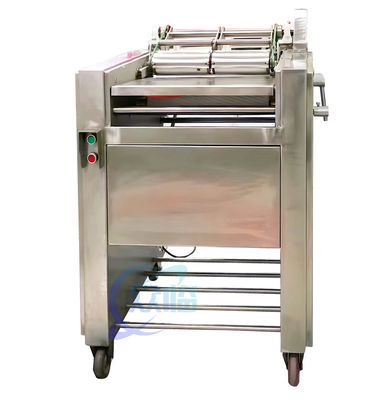 Stabiel SUS304 visschilmachine, semi-automatische sardine reinigingsmachine