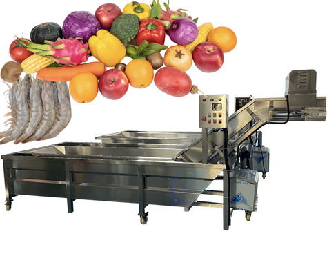 Goede prijs 2200W SUS304 Kleine visreinigingsmachine, duurzame groentenwasser online