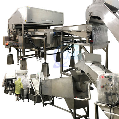 Goede prijs Duurzame 800W garnalenverwerkingsinstallatie, automatisch garnalenkop verwijdering systeem online