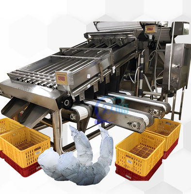 Goede prijs Zeevruchten verwerking garnalen rangschikkingsmachine 6000x3200x2200mm stabiel online