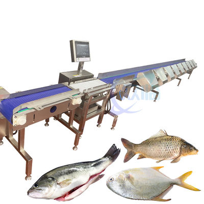 Volledig automatische visgewichtssorteermachine Voedselconveyor Weegschaal