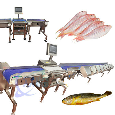 Hoogprecisie levende vis sorteermachine levende vis sorteerapparatuur Tilapia Sizing