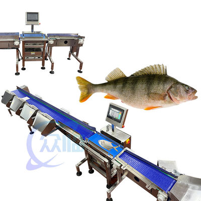 Goede prijs 121 stuks/min visgewichtsgrader viswegen en sorteren machine voor aquatisch milieu online
