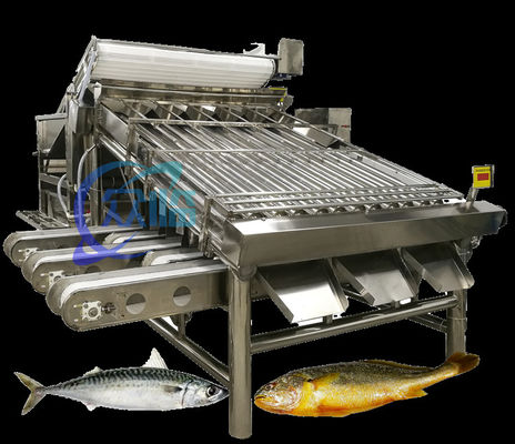 Efficiënte kleine visklasseermachine Mackerel-klasseersysteem Grote capaciteit 5T/h