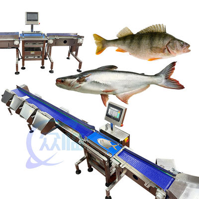 Goede prijs 62m/min Specialiteit Visgewicht classificator Live visgewicht sorteermachine Computerbesturing online