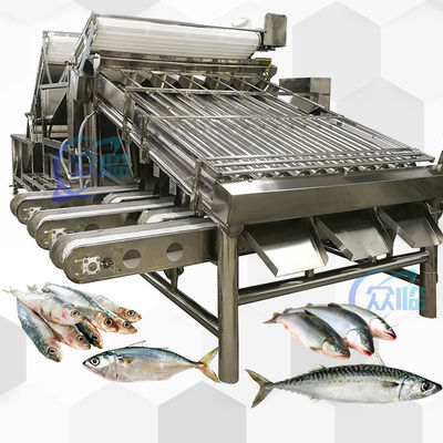 Goede prijs High Speed Saury Sorting Machine Saury Roller Grader 5 personen Operator online