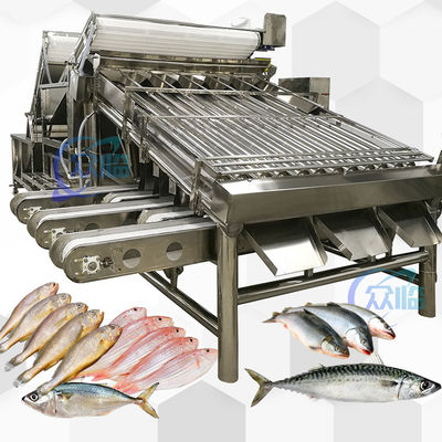 Goede prijs Roestvrij staal 304 Yellow Croaker Grader 12pcs Roller Sardine Makrela Grader online