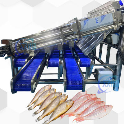 Goede prijs 18pcs Roller SS304 Kleine vis sorteermachine Kleine vis rangschikkingslijn online
