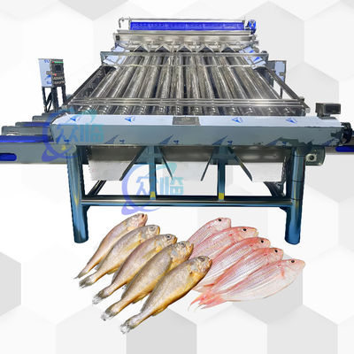 Goede prijs Automatische visclassificator met 12 rollers Automatische visclassificator voor 4-5 maten online
