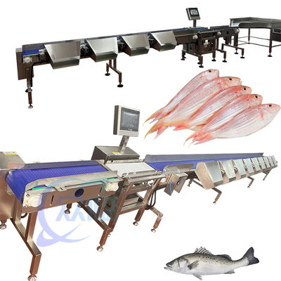 Goede prijs Gewichtscategoriserende machine voor pelagische vissen 120-150 stuks/min online