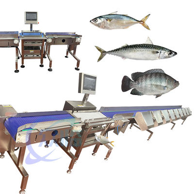 China Specialiteit Crap Fish Grader Crap Fish Sorter Crap Fish Sizer