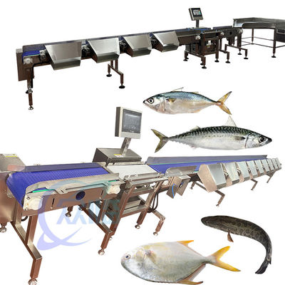 Goede prijs Tilapia Grader Tilapia Sorter Tilapia Sizter Tilapia Classify Uit China